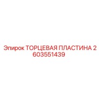 2603551439 ТОРЦЕВАЯ ПЛАСТИНА Epiroc