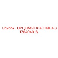 3176404916 ТОРЦЕВАЯ ПЛАСТИНА Epiroc