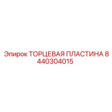 8440304015 ТОРЦЕВАЯ ПЛАСТИНА Эпирок