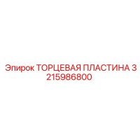 3215986800 ТОРЦЕВАЯ ПЛАСТИНА Epiroc
