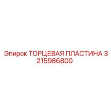 3215986800 ТОРЦЕВАЯ ПЛАСТИНА Epiroc