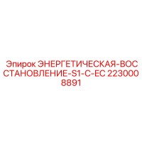 2230008891 ЭНЕРГЕТИЧЕСКАЯ-ВОССТАНОВЛЕНИЕ-S1-C-EC Epiroc