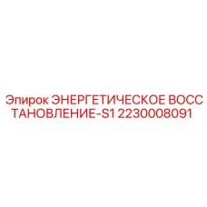 2230008091 ЭНЕРГЕТИЧЕСКОЕ ВОССТАНОВЛЕНИЕ-S1 Epiroc