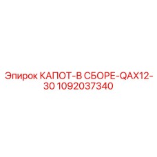 1092037340 КАПОТ-В СБОРЕ-QAX12-30 Epiroc