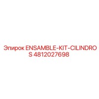 4812027698 ENSAMBLE-KIT-CILINDROS Epiroc