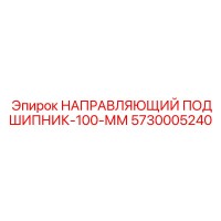 5730005240 НАПРАВЛЯЮЩИЙ ПОДШИПНИК-100-ММ Epiroc