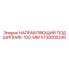 5730005240 НАПРАВЛЯЮЩИЙ ПОДШИПНИК-100-ММ Epiroc