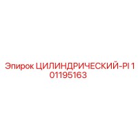 101195163 ЦИЛИНДРИЧЕСКИЙ-PI Epiroc