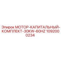 1092000234 МОТОР-КАПИТАЛЬНЫЙ-КОМПЛЕКТ-30KW-60HZ Epiroc