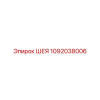 1092038006 ШЕЯ Epiroc