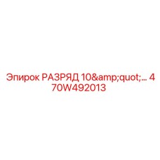 470W492013 РАЗРЯД 10