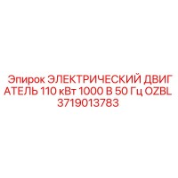 3719013783 ЭЛЕКТРИЧЕСКИЙ ДВИГАТЕЛЬ 110 кВт 1000 В 50 Гц OZBL Epiroc
