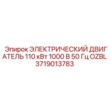 3719013783 ЭЛЕКТРИЧЕСКИЙ ДВИГАТЕЛЬ 110 кВт 1000 В 50 Гц OZBL Epiroc