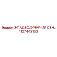 1127442153 ЭТ.АДЕС.ФРЕЧЧИЯ СЕН… Epiroc