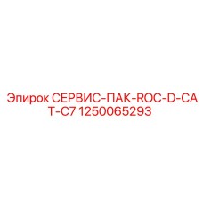 1250065293 СЕРВИС-ПАК-ROC-D-CAT-C7 Epiroc