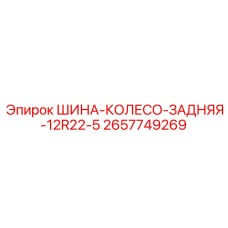 2657749269 ШИНА-КОЛЕСО-ЗАДНЯЯ-12R22-5 Epiroc