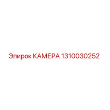 1310030252 КАМЕРА Epiroc