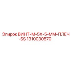 1310030570 ВИНТ-M-5X-5-MM-ПЛЕЧ-SS Epiroc