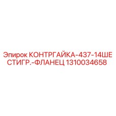 1310034658 КОНТРГАЙКА-437-14ШЕСТИГР.-ФЛАНЕЦ by Epiroc
