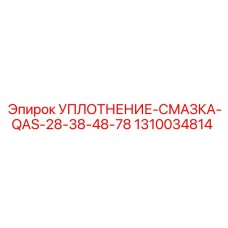 1310034814 УПЛОТНЕНИЕ-СМАЗКА-QAS-28-38-48-78 Эпирок