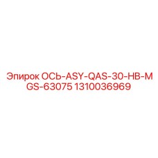1310036969 ОСЬ-ASY-QAS-30-HB-MGS-63075 Epiroc