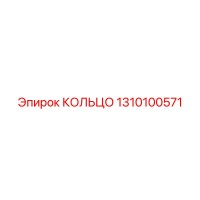 1310100571 КОЛЬЦО Epiroc