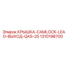 1310198700 КРЫШКА-CAMLOCK-LEAD-ВЫХОД-QAS-25 Epiroc
