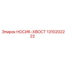 1310202222 НОСИК-ХВОСТ Epiroc
