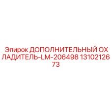 1310212673 ДОПОЛНИТЕЛЬНЫЙ ОХЛАДИТЕЛЬ-LM-206498 Epiroc
