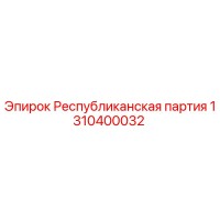 1310400032 Республиканская партия Epiroc