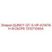 1310710454 QUINCY-QT-5-HP-КЛАПАН-В СБОРЕ Epiroc
