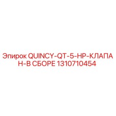 1310710454 QUINCY-QT-5-HP-КЛАПАН-В СБОРЕ Epiroc