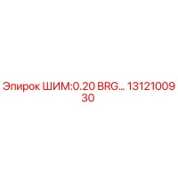 1312100930 ШИМ:0.20 BRG… Эпирок