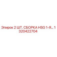 1320422704 2 ШТ. СБОРКА HSG 1-Я... Epiroc