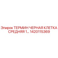 1420115369 ТЕРМИН ЧЕРНАЯ КЛЕТКА СРЕДНЯЯ 1... Epiroc
