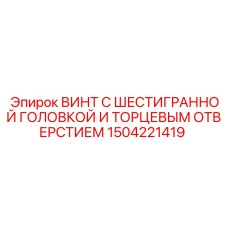 1504221419 ВИНТ С ШЕСТИГРАННОЙ ГОЛОВКОЙ И ТОРЦЕВЫМ ОТВЕРСТИЕМ (Epiroc)