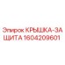1604209601 КРЫШКА-ЗАЩИТА Epiroc