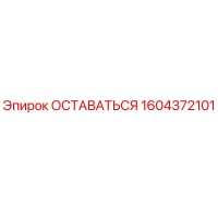 1604372101 ОСТАВАТЬСЯ Epiroc