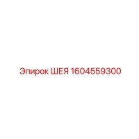 1604559300 ШЕЯ Epiroc