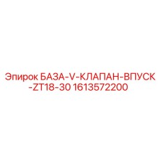 1613572200 БАЗА-V-КЛАПАН-ВПУСК-ZT18-30 Epiroc