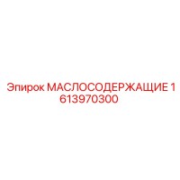 1613970300 МАСЛОСОДЕРЖАЩИЕ Epiroc