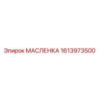 1613973500 МАСЛЕНКА Epiroc