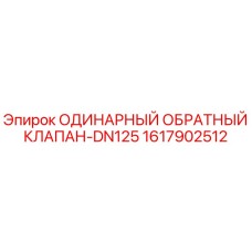 1617902512 ОДИНАРНЫЙ ОБРАТНЫЙ КЛАПАН-DN125 Epiroc