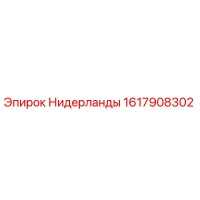1617908302 Нидерланды Epiroc
