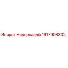 1617908302 Нидерланды Epiroc