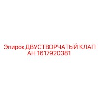 1617920381 ДВУСТВОРЧАТЫЙ КЛАПАН Epiroc