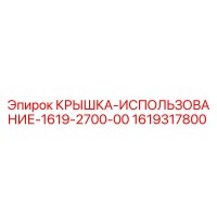 1619317800 КРЫШКА-ИСПОЛЬЗОВАНИЕ-1619-2700-00 Epiroc