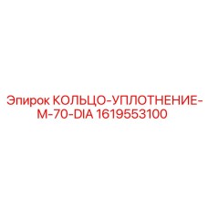1619553100 КОЛЬЦО-УПЛОТНЕНИЕ-M-70-DIA от Epiroc