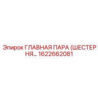 1622662081 ГЛАВНАЯ ПАРА (ШЕСТЕРНЯ…) Epiroc