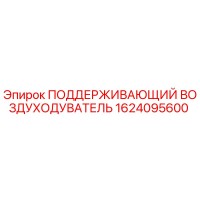 1624095600 ПОДДЕРЖИВАЮЩИЙ ВОЗДУХОДУВАТЕЛЬ Epiroc